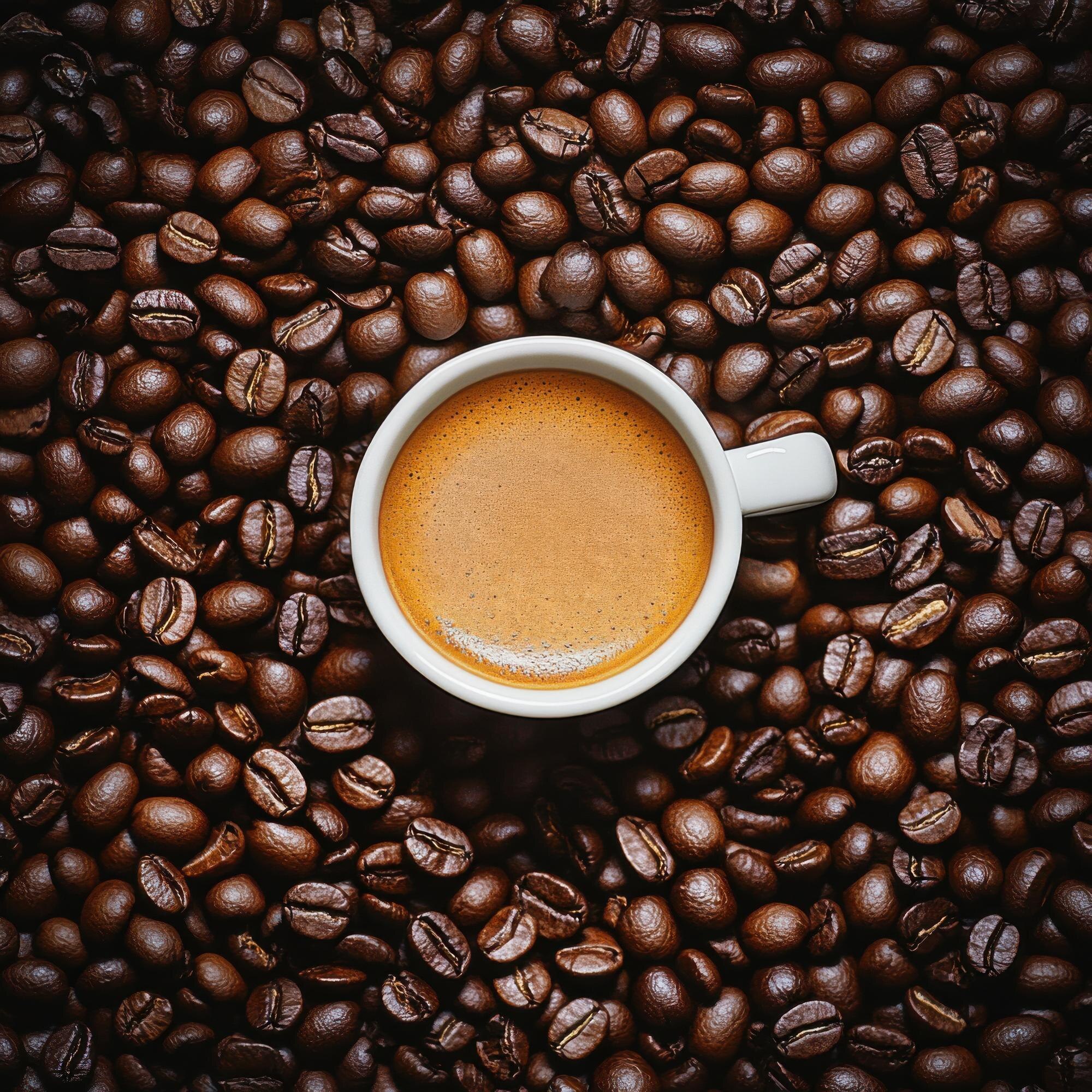 Caffè in grani Arabica 100%, Brasile Santos